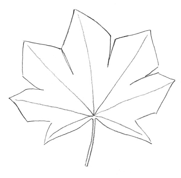 Листья рисунок