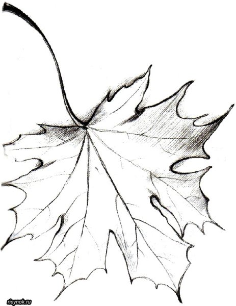Дерево для рисования листьев