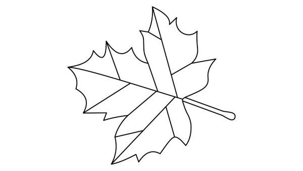 Рисование листьев цветными карандашами