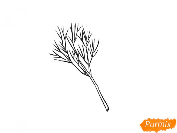 Укроп Графика