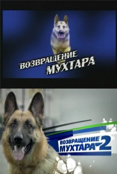 Как нарисовать Мухтара из фильма