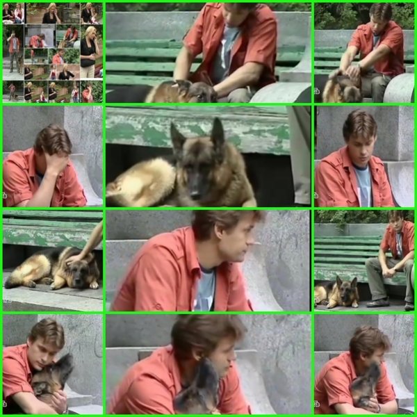 Возвращение Мухтара сериал Алексей