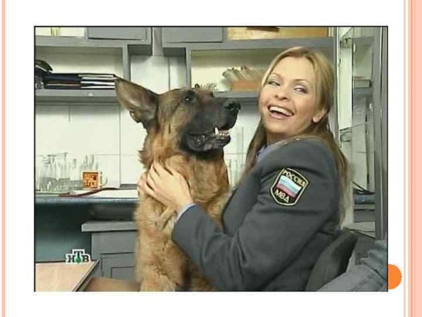 Возвращение Мухтара Александр Волков