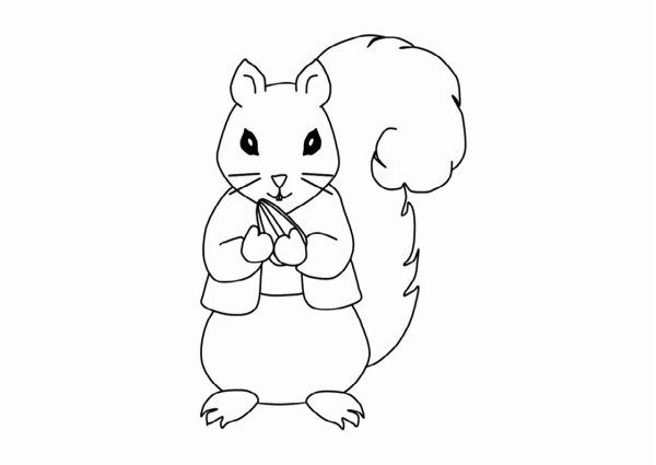 Белка рисунок карандашом