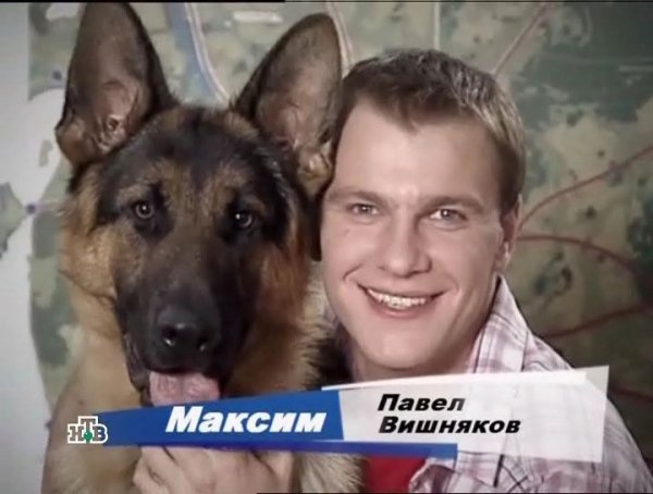 Павел вишняков Возвращение Мухтара 2