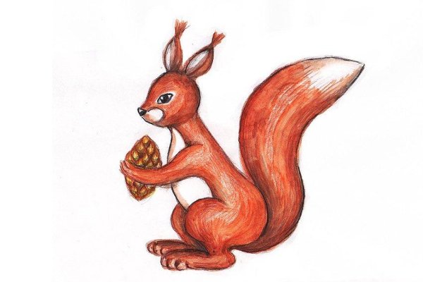 Раскраска Белочка