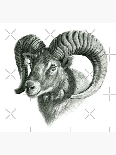 Знаки зодиака в виде девушек рисунки