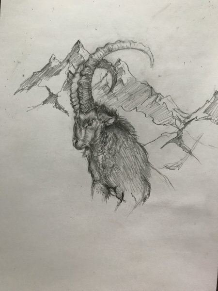 Козерог стилизация