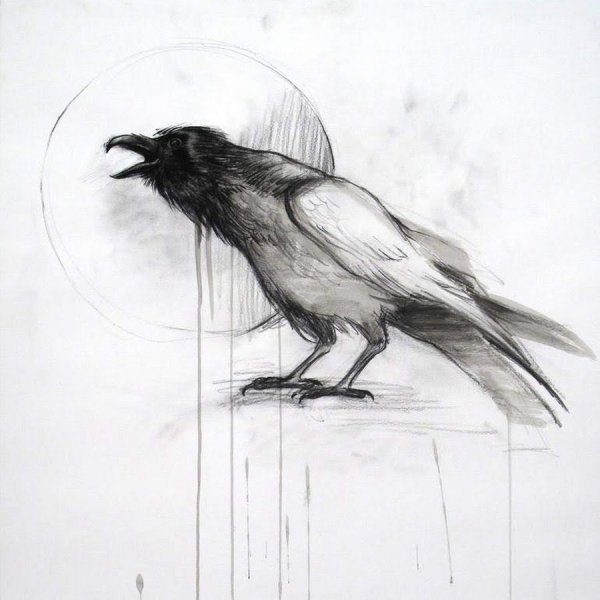 Ворон нарисованный