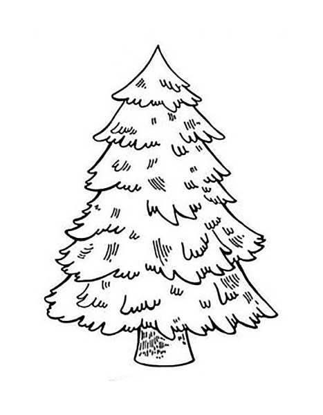 Ель раскраска для детей