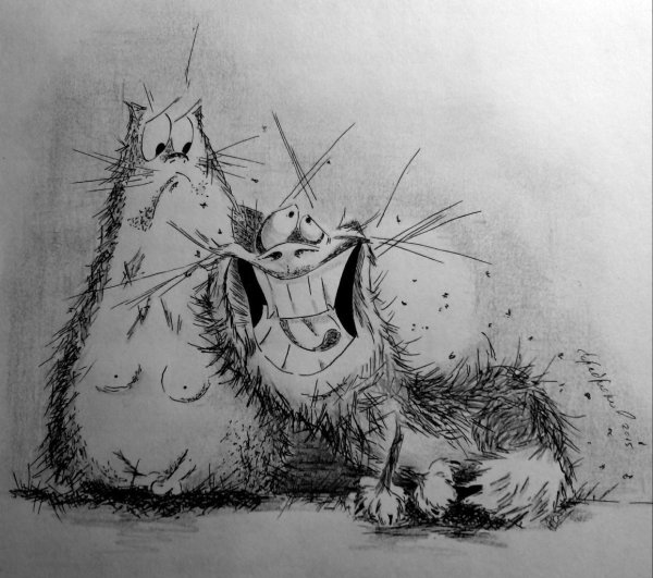 Забавные скетчи животных