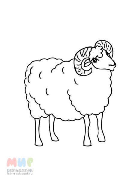 Барашек раскраска