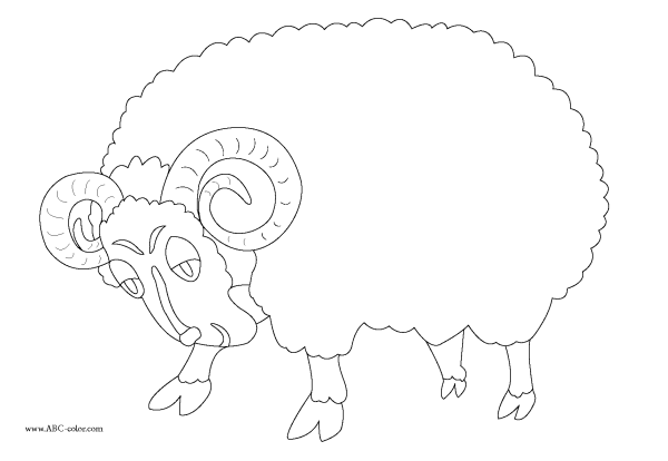 Баран раскраска для детей
