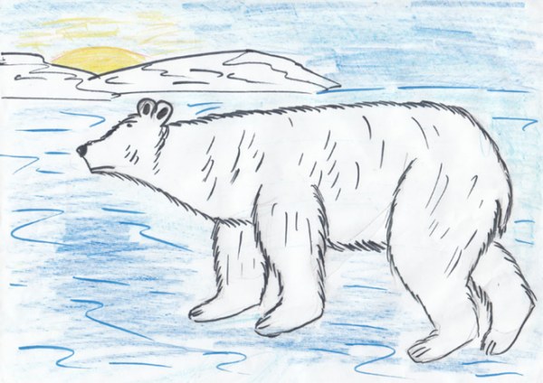 Арктика рисунок карандашом