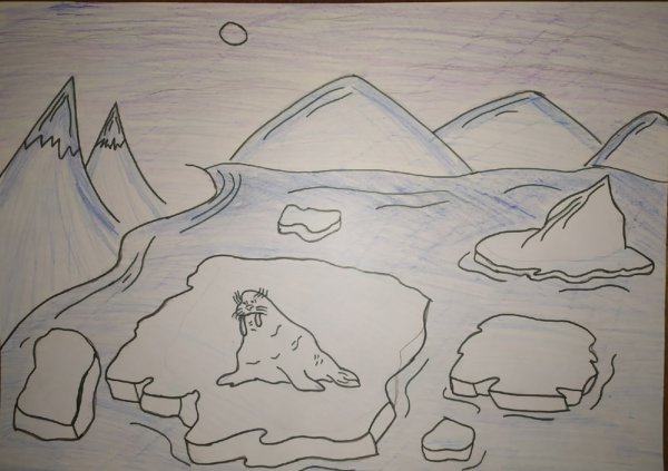 Арктика рисунок карандашом