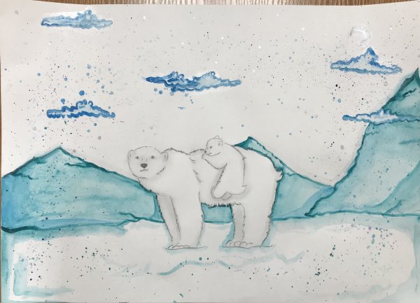 Рисунок на тему Арктика