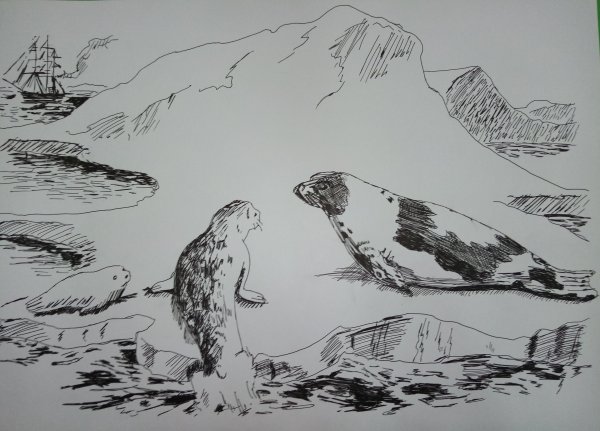 Арктика рисунок