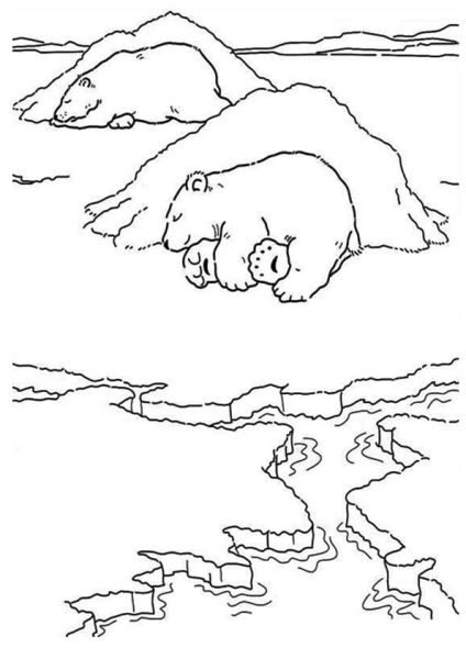 Антарктида раскраска для детей