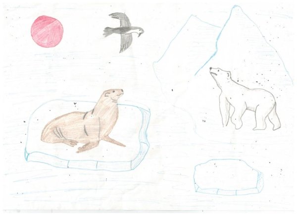 Рисование животные Арктики 4 класс