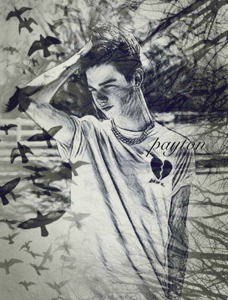 Пейтон мурмаер портрет