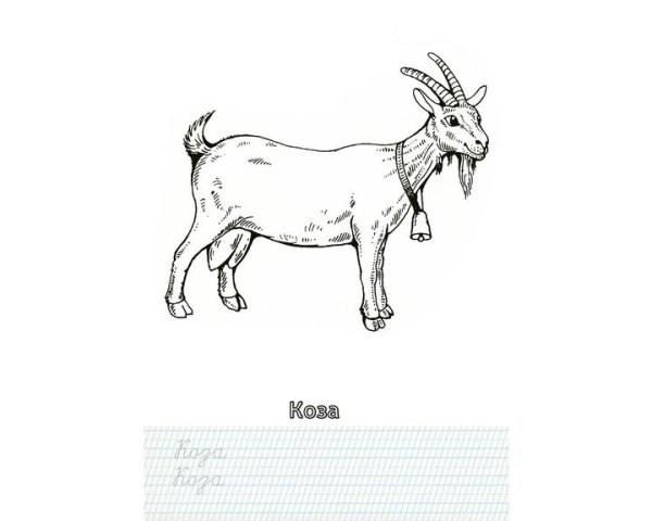 Коза сбоку рисунок