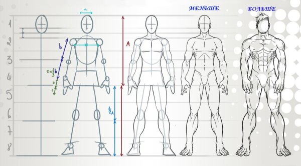 Как рисовать человека сзади поэтапно