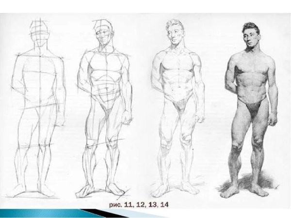 Мужская фигура для рисования