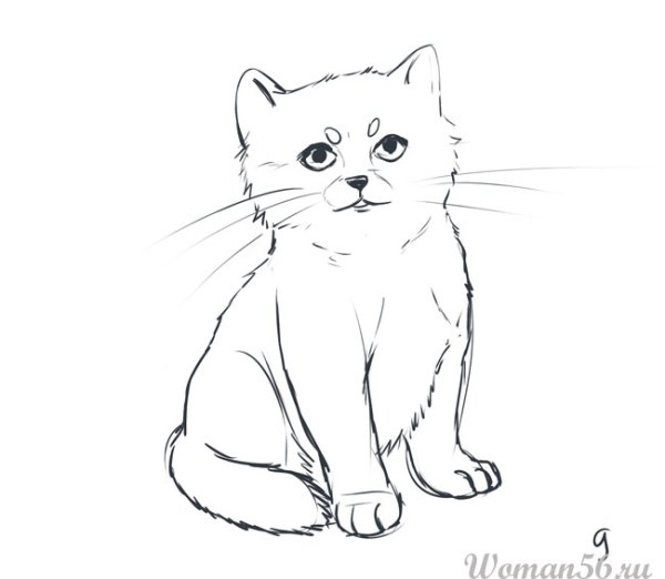 Кошка рисунок карандашом