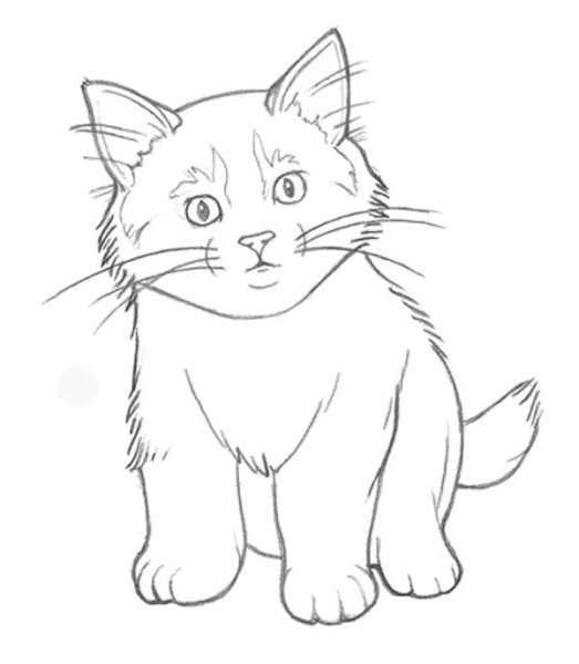 Кошка рисунок карандашом для детей