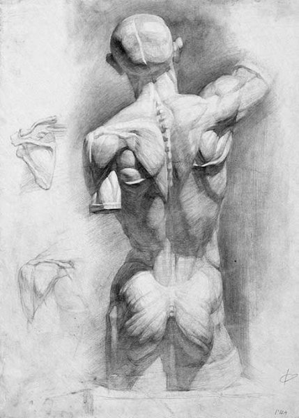 Девушка со спины рисунок