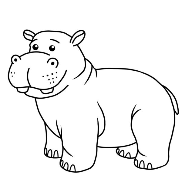 Рисование бегемота