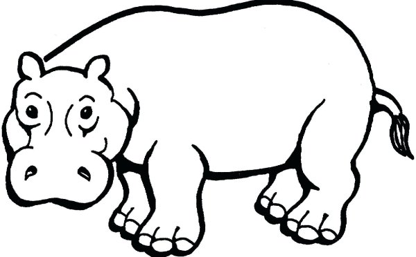Бегемот раскраска