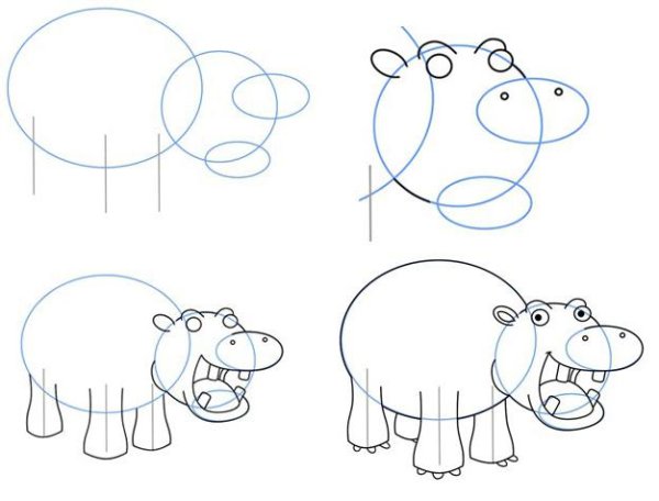 Бегемот рисунок карандашом