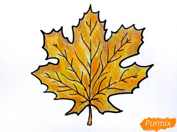 Листья красивые осенние для срисовки