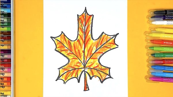 Кленовый лист фломастерами