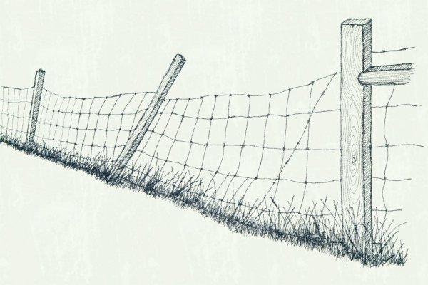 Забор карандаши