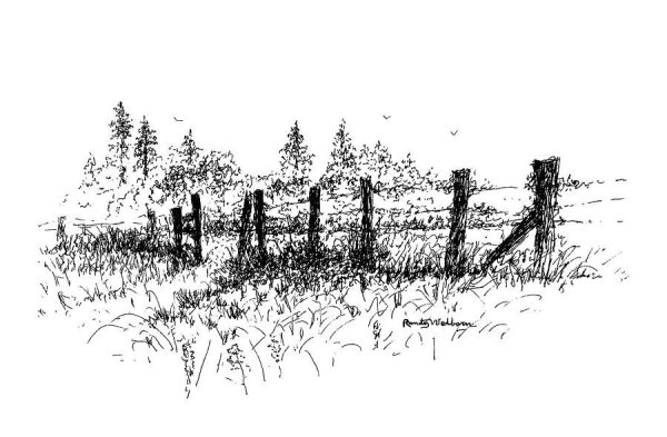 Забор карандаши