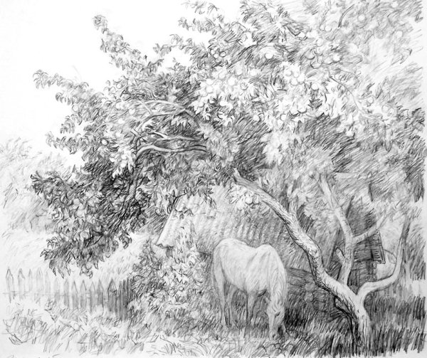 Природа Графика