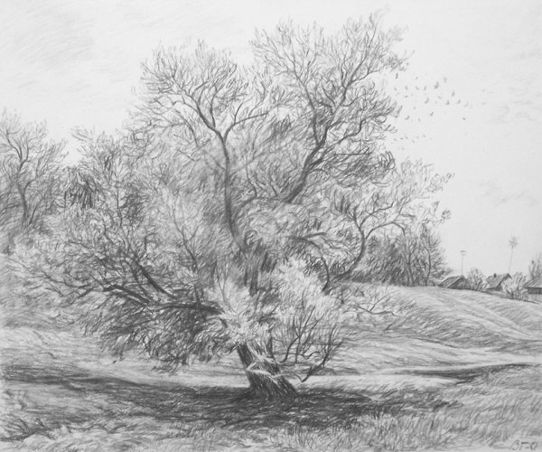 Графика рисунки карандашом