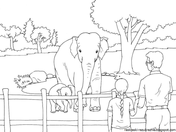 Московский зоопарк раскраска для детей