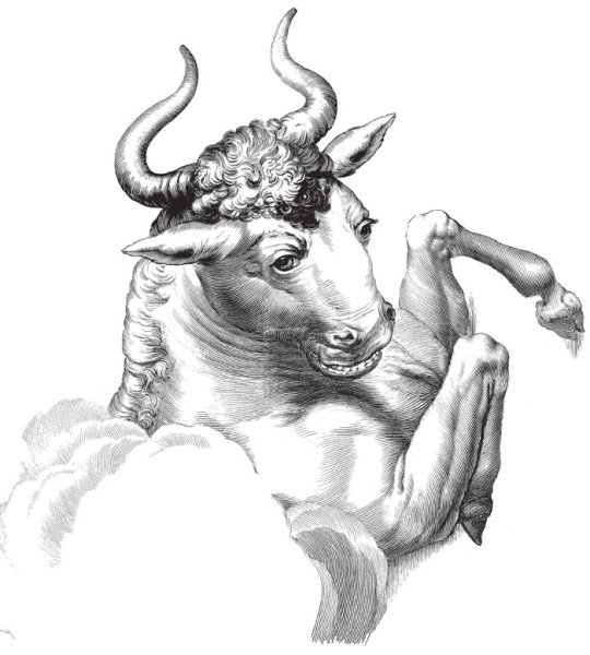 Телец карандашом