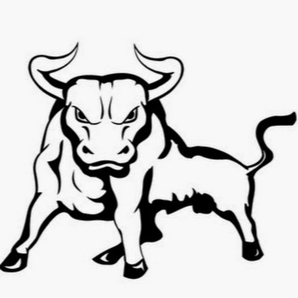 Бык черно белый