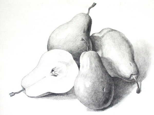 Груша натюрморт карандашом