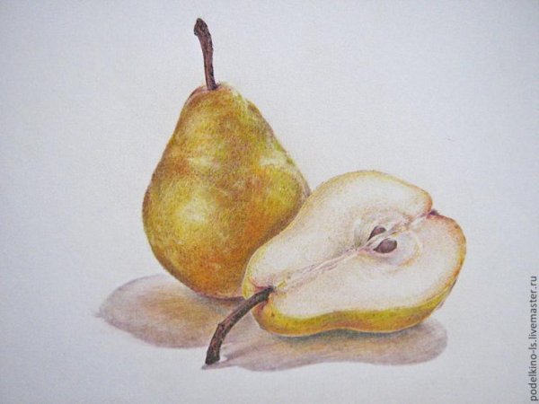 Груша карандашом