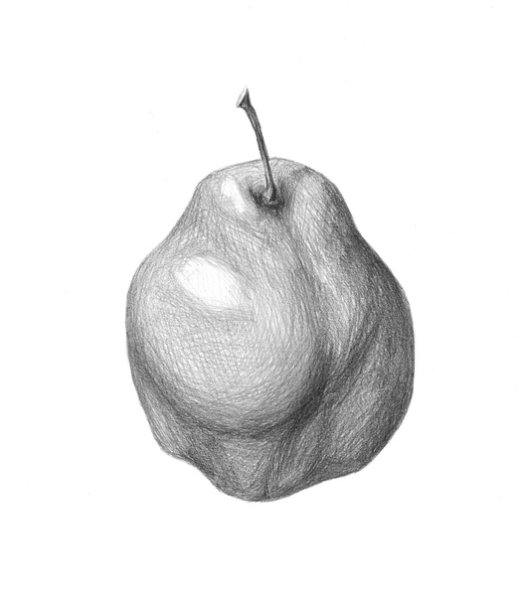 Груша карандашом