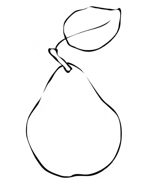 Раскраска фрукты груша
