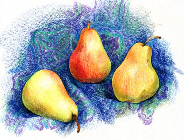 Нарисовать грушу простым карандашом