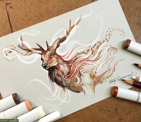 Кэти Липскомб