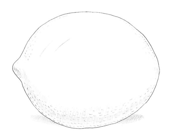 Лимон рисунок для детей карандашом