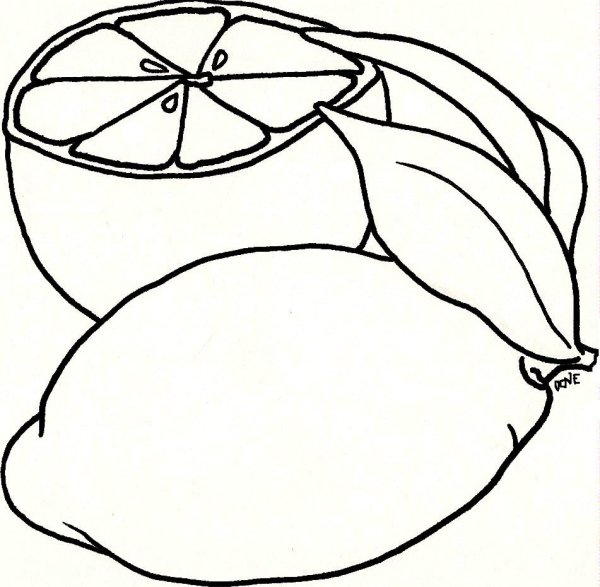 Лимон раскраска